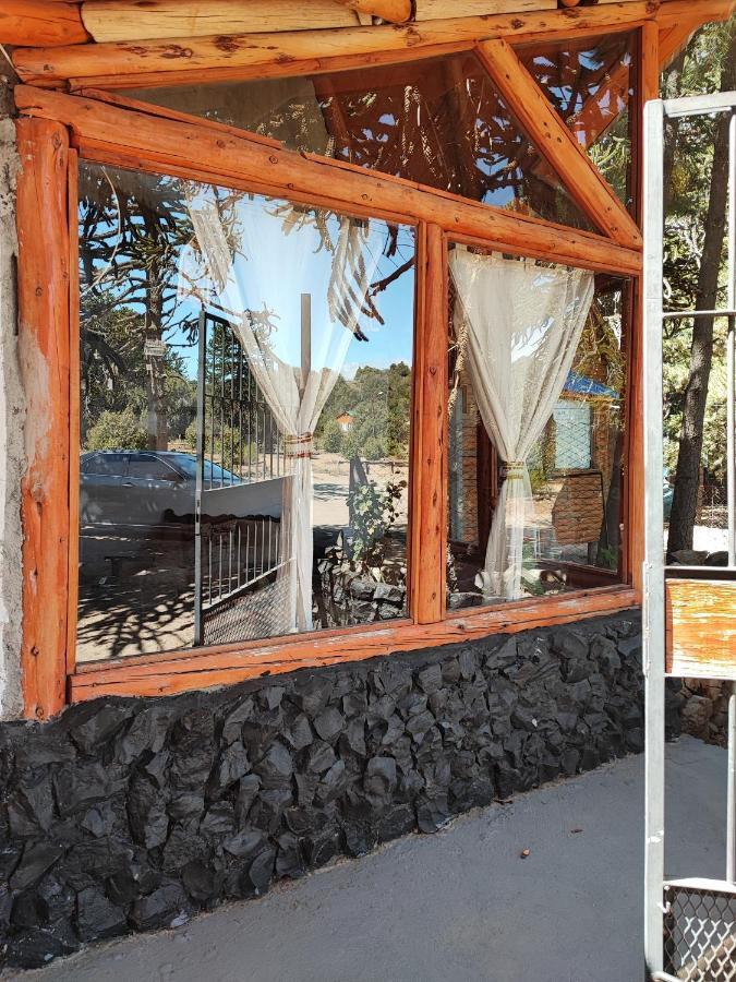 Ensueno Del Alma Villa Villa Pehuenia Luaran gambar